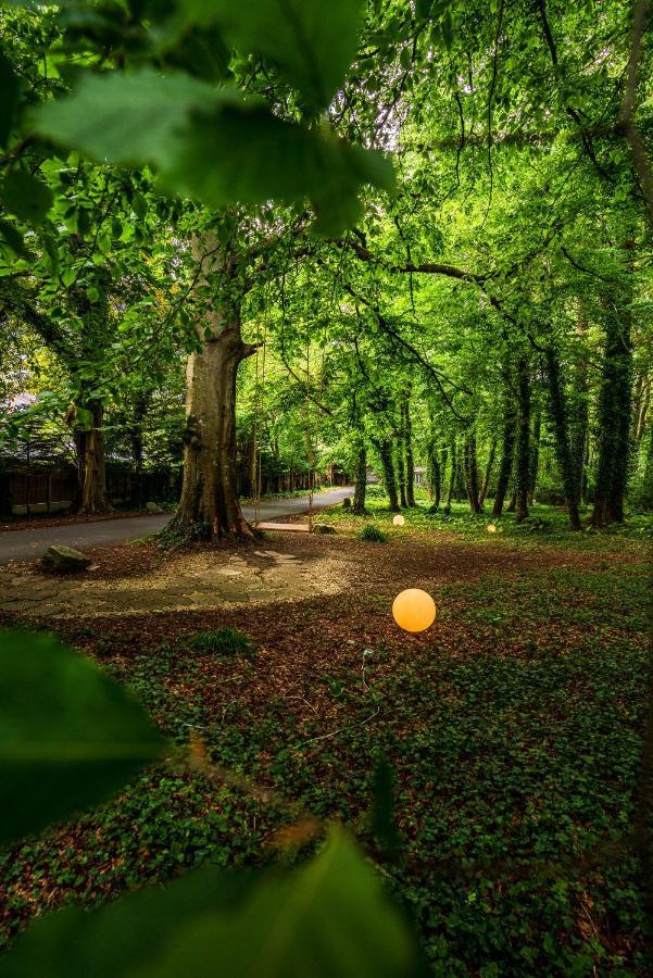Summerhill House Hotel Енніскеррі Екстер'єр фото